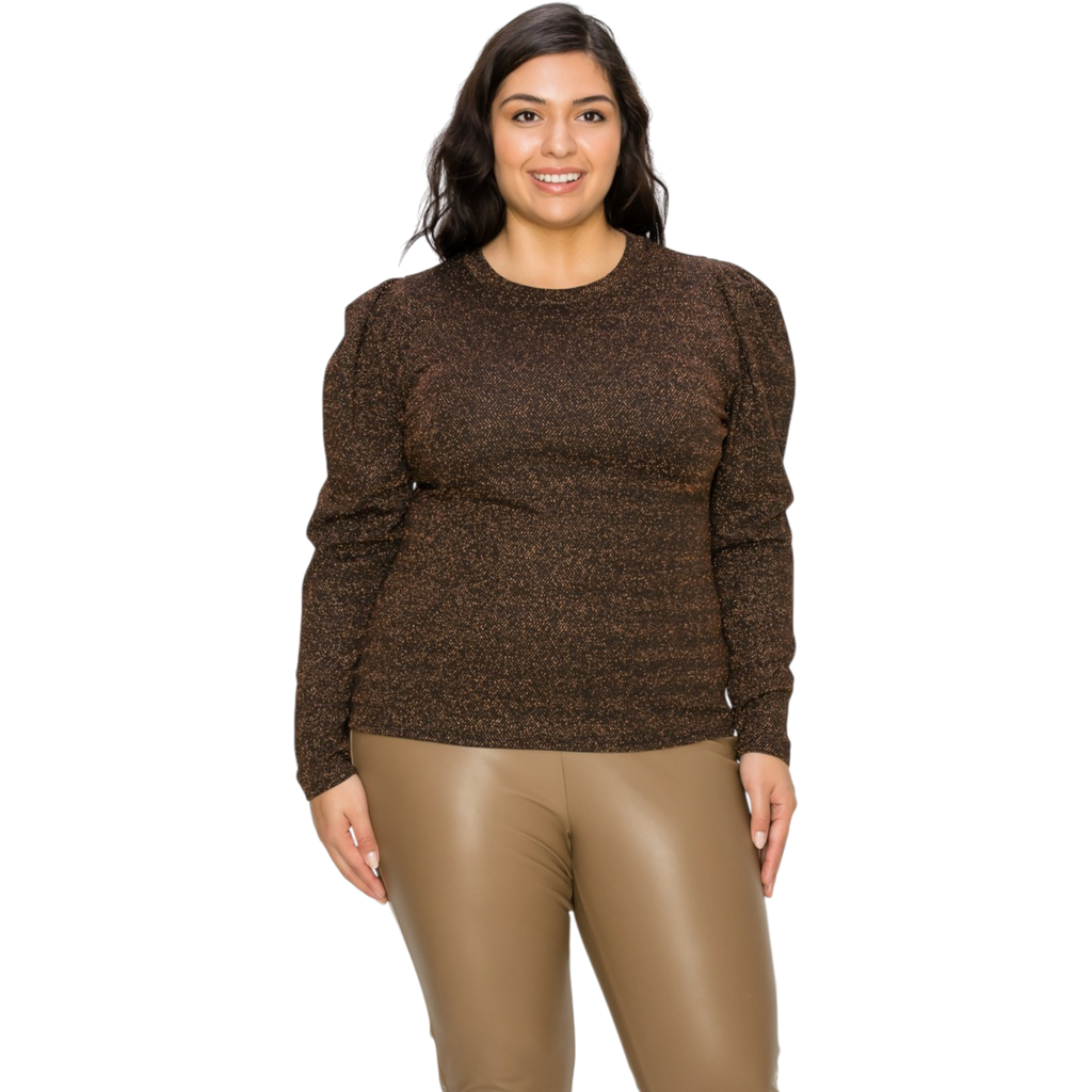 Plus size sparkling long sleeve top styled for fall